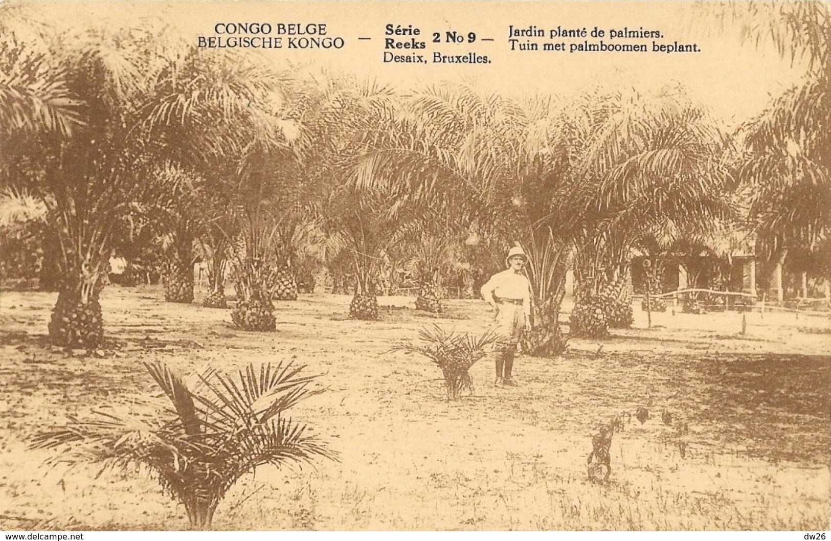 Congo Belge - Série 2 - Jardin Planté De Palmiers - Carte N° 9 - Congo Belga