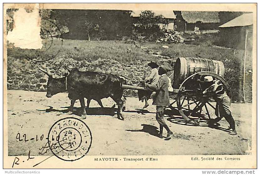 230318 FRANCE MAYOTTE DOM ROM - Transport D'eau - Boeuf Tonneau - Mayotte