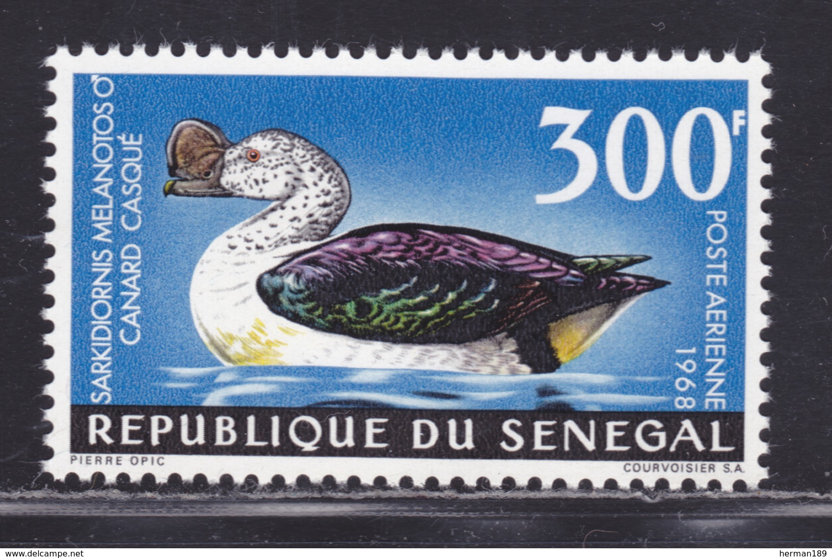 SENEGAL AERIENS N°   66 ** MNH Neuf Sans Charnière, TB (D6026) Oiseau, Canard Casqué - 1968 - Senegal (1960-...)