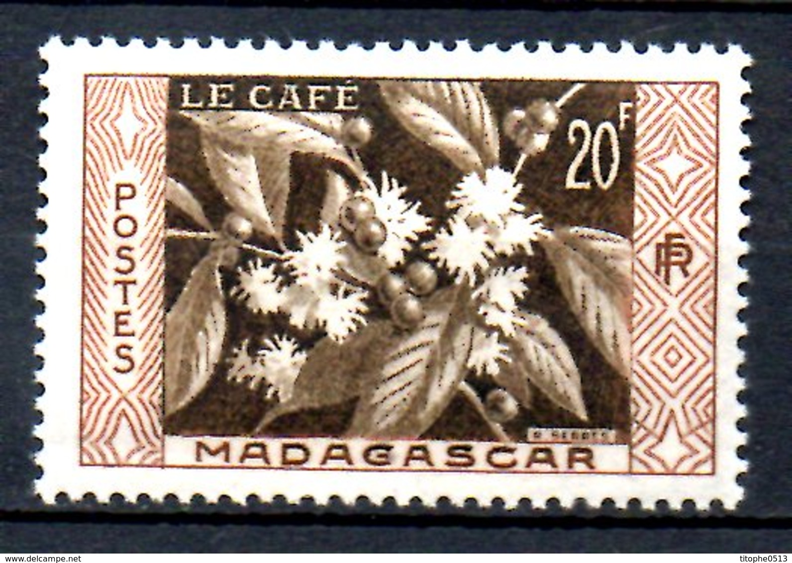 MADAGASCAR. N°331 De 1956. Café - Sonstige & Ohne Zuordnung
