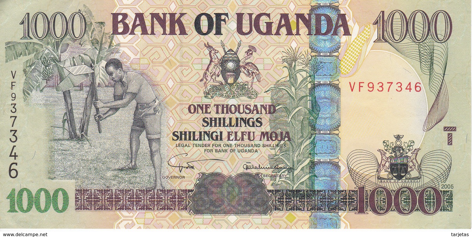 BILLETE DE UGANDA DE 1000 SHILLINGS DEL AÑO 2005 EN CALIDAD EBC (XF)  (BANKNOTE) - Ouganda