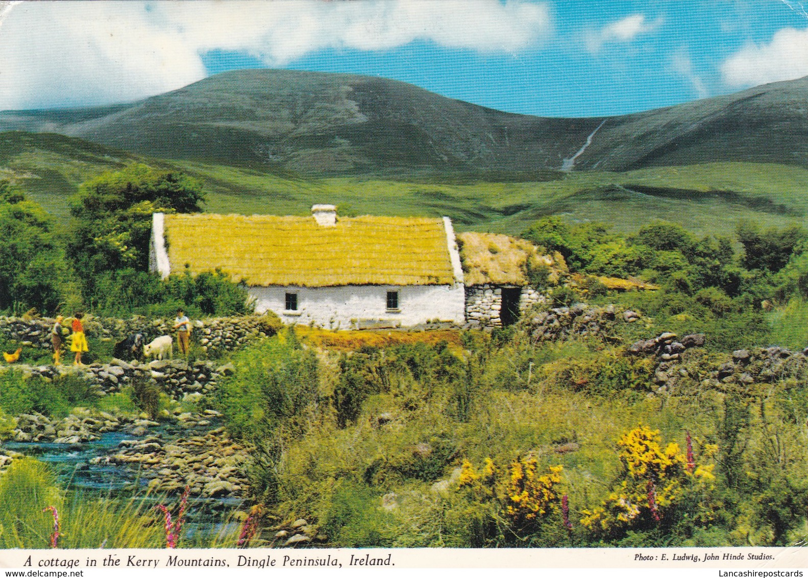 Postcard A Cottage In The Kerry Mountains Dingle Peninsula Ireland By John Hinde My Ref  B22436 - Kerry