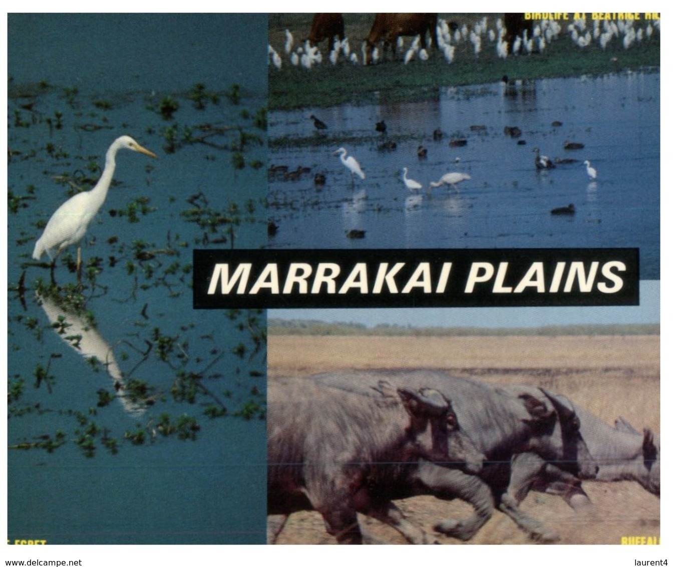 (361) Australia - (with Stamp And Postmark)  NT - Marrakai Plains - Unclassified