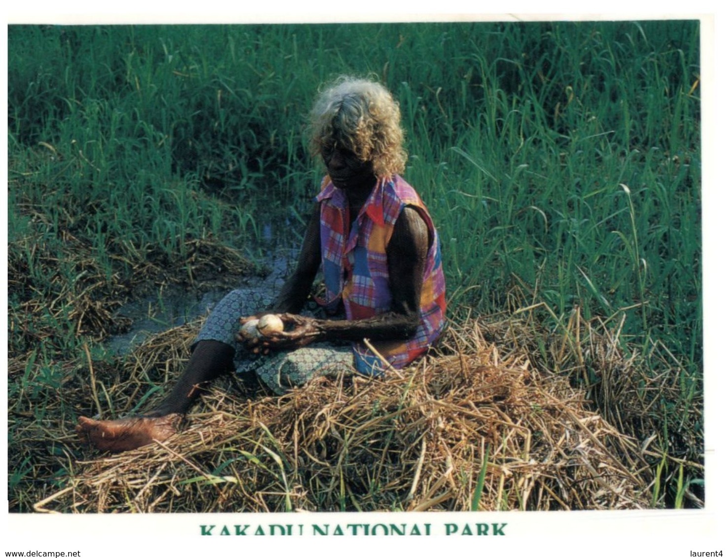 (361) Australia - (with Stamp And Postmark)  NT - Kakadu Native Women - Aborigenes