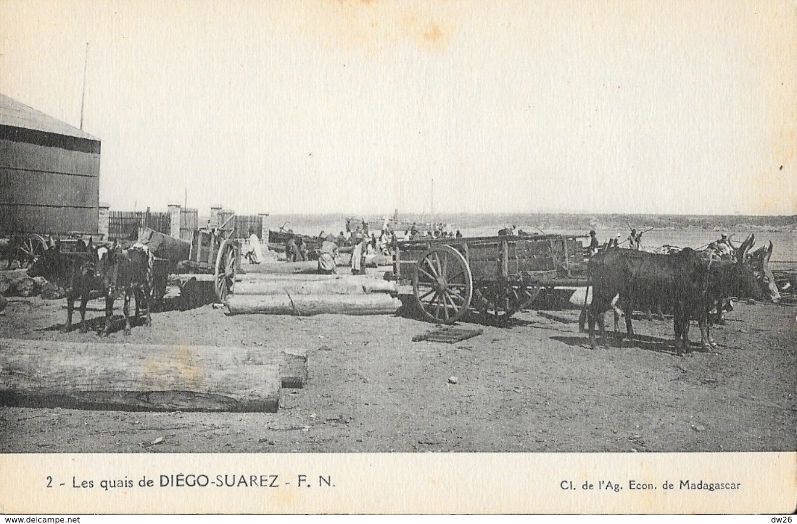 Madagascar, Les Quais De Diego-Suarez, Attelages De Boeufs - Carte F.N. N° 2 Non Circulée - Madagascar