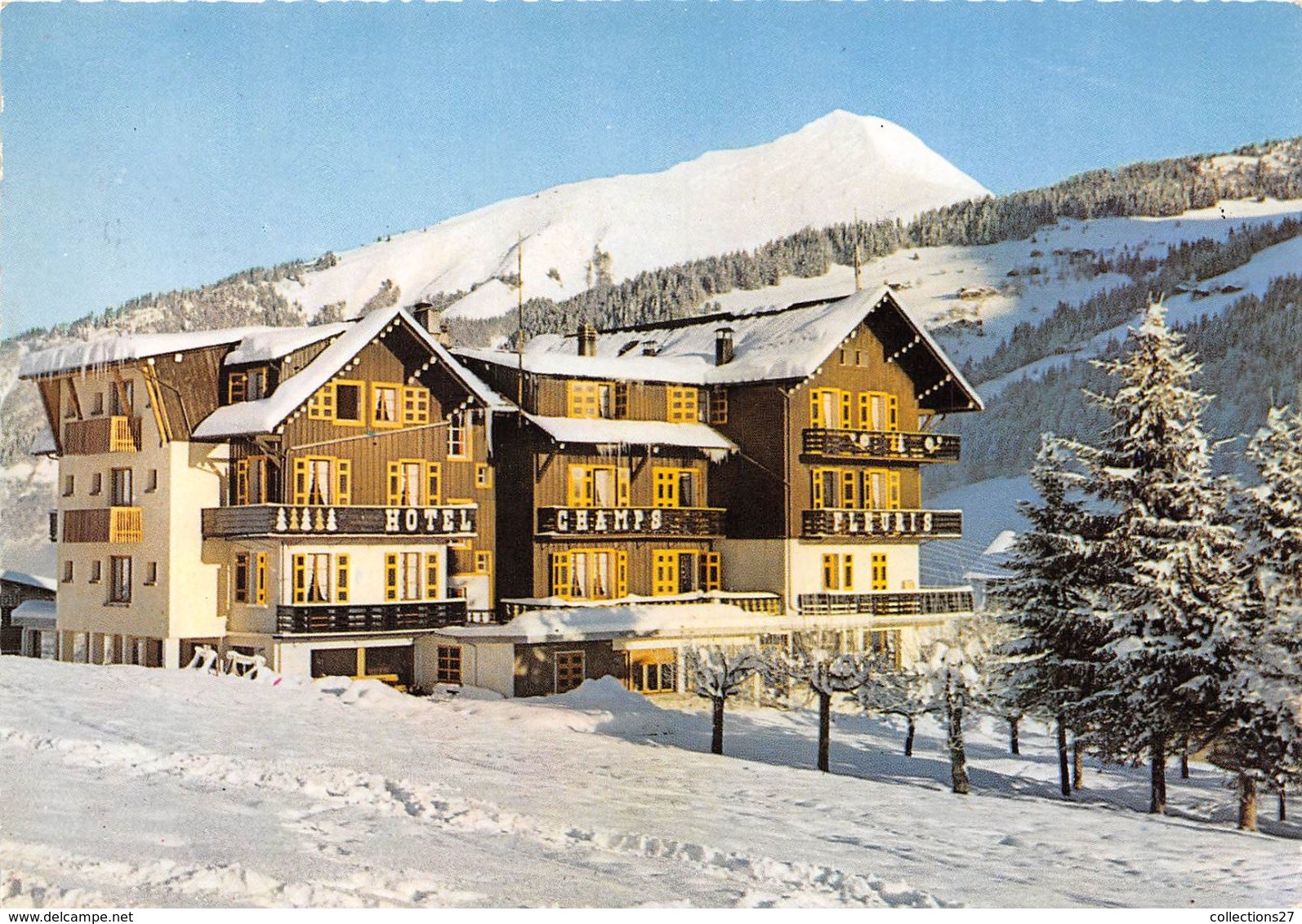 74-MORZINE- HÔTEL LES CHAMPS FLEURIS - Morzine