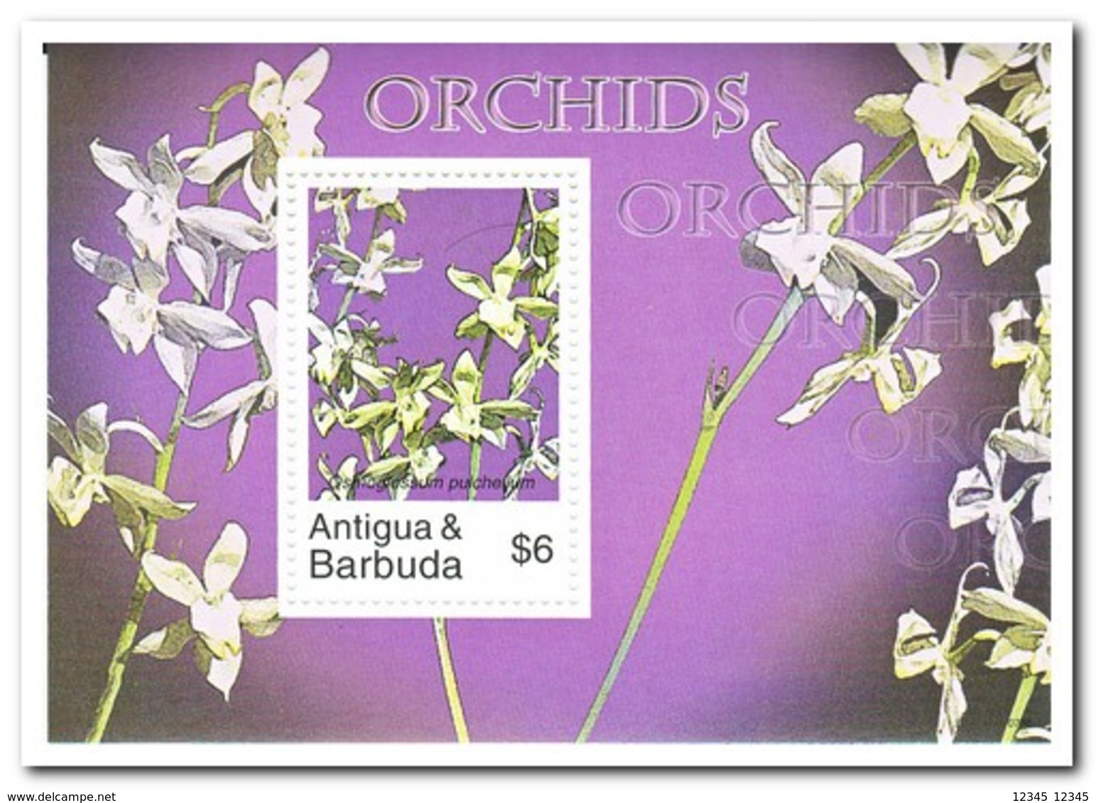 Antigua & Barbuda 2007, Postfris MNH, Flowers, Orchids - Antigua En Barbuda (1981-...)