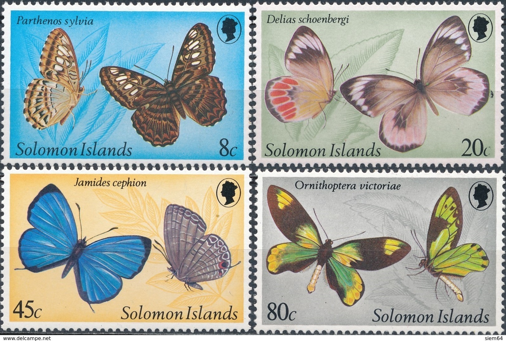 Solomon Islands Vlinders - Vlinders