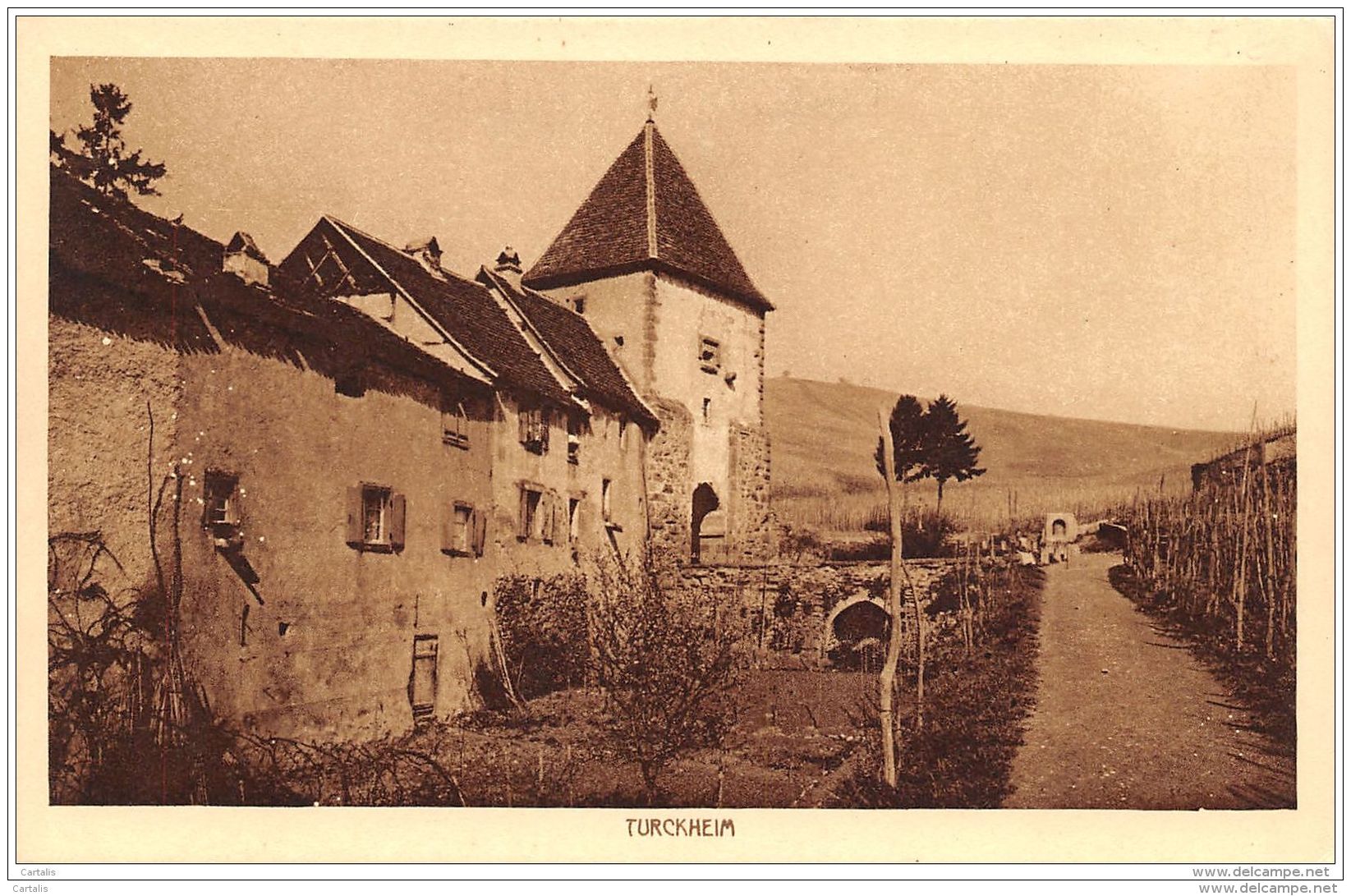 68-TURCKHEIM-N°222-F/0261 - Turckheim