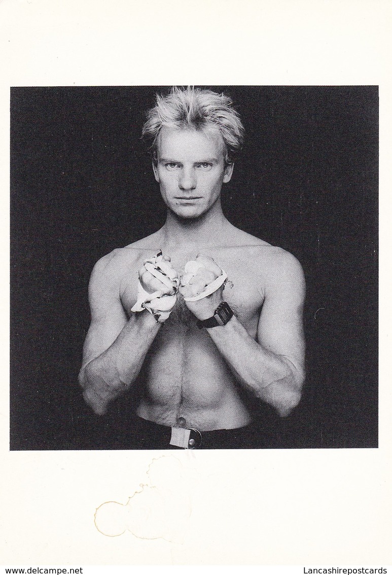 Postcard Sting [ Gordon Sumner ] Bare Chested By Terry O'neill British Film Year Exhibition Card My Ref  B22452 - Singers & Musicians