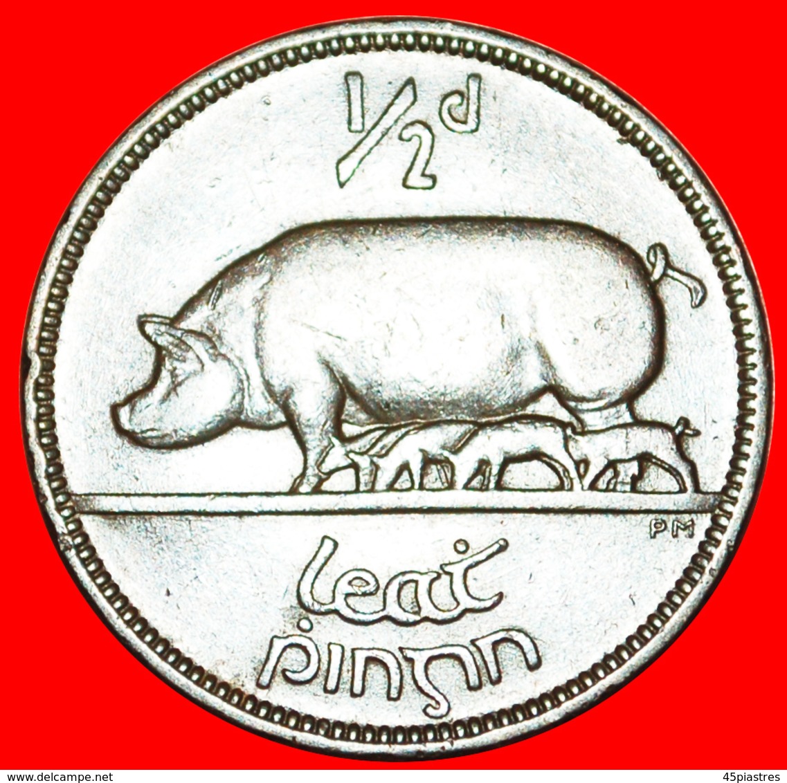 √ PIG AND PIGLETS: IRELAND ★ 1/2 PENNY 1949! LOW START ★ NO RESERVE! - Irlande