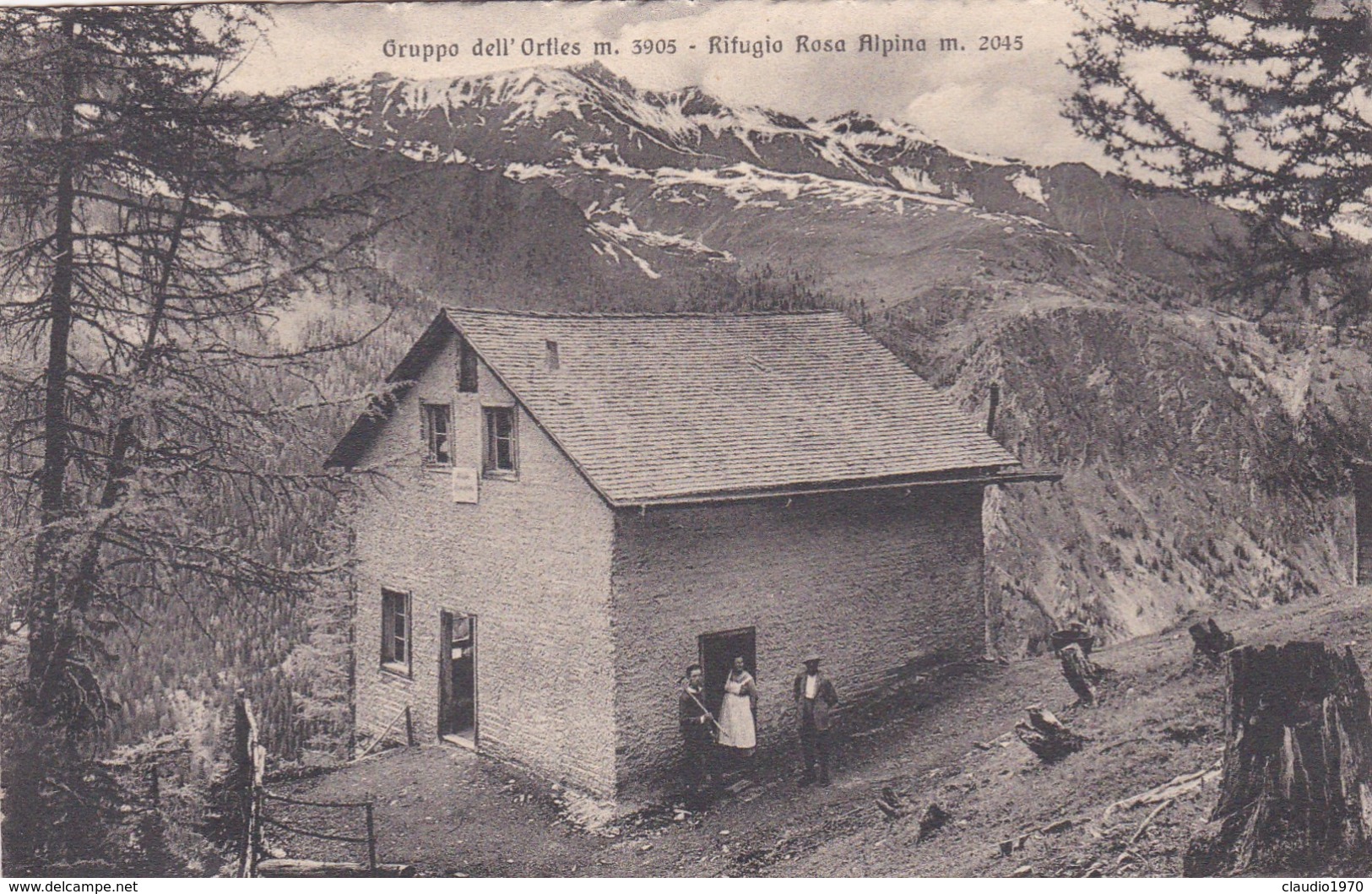 CARTOLINA - POSTCARD - BOLZANO - GRUPPO DELL' ORTLES M.3905 - RIFUGIO ROSA ALPINA M. 2045 - Bolzano