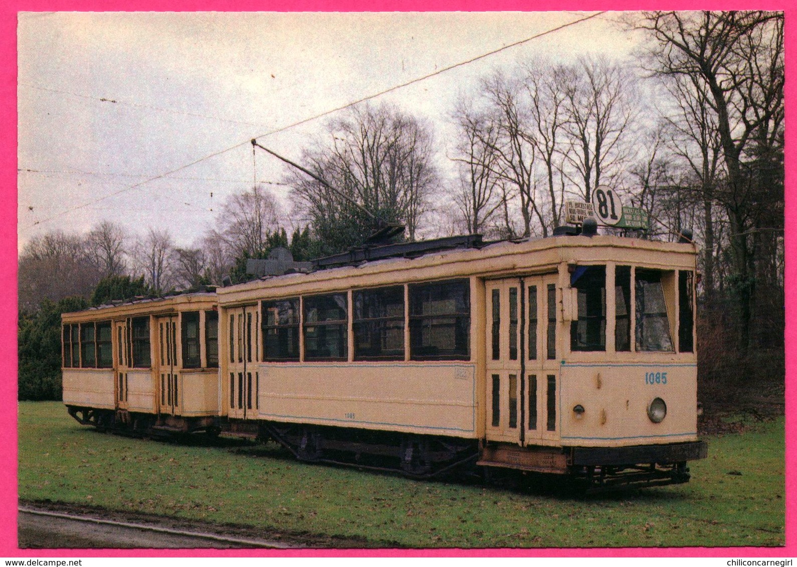 Bruxelles - Motrice Et Remorque Type " Standard " - 1950 - VETRAMU - Tramway 1085 Ligne 81 - Vervoer (openbaar)