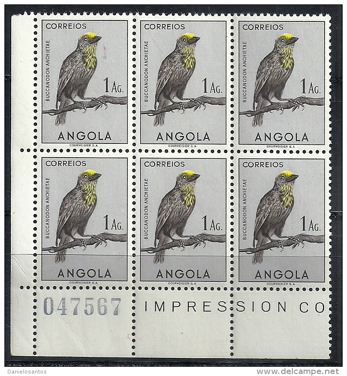 Angola 1951 Birds In Natural Colors Birds Of Prey Yellow Fronted Barbet Block Of 6 MNH - Other & Unclassified