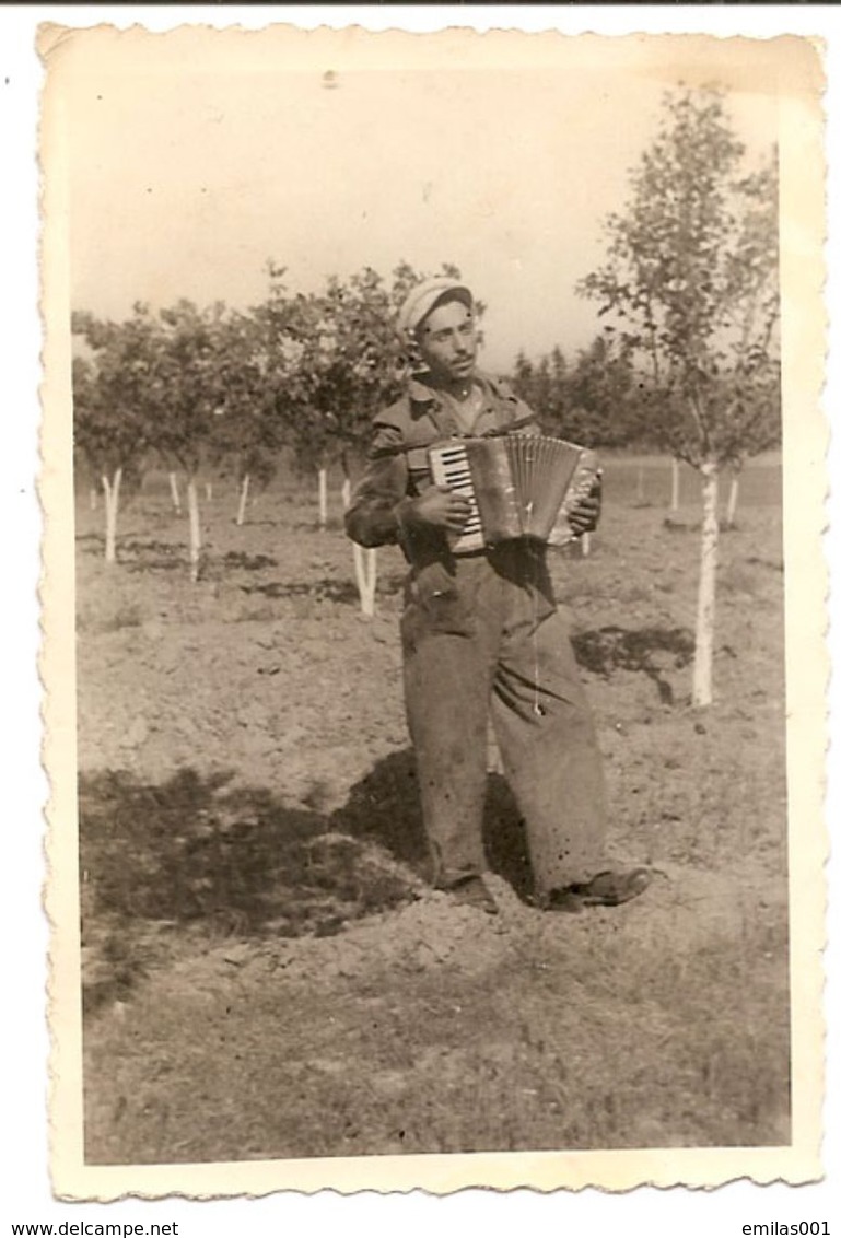 Photo Originale , Gitan Jouant à L'accordéon Dans Le Jardin , Dim 6.0 X 9.0 Cm - Photos