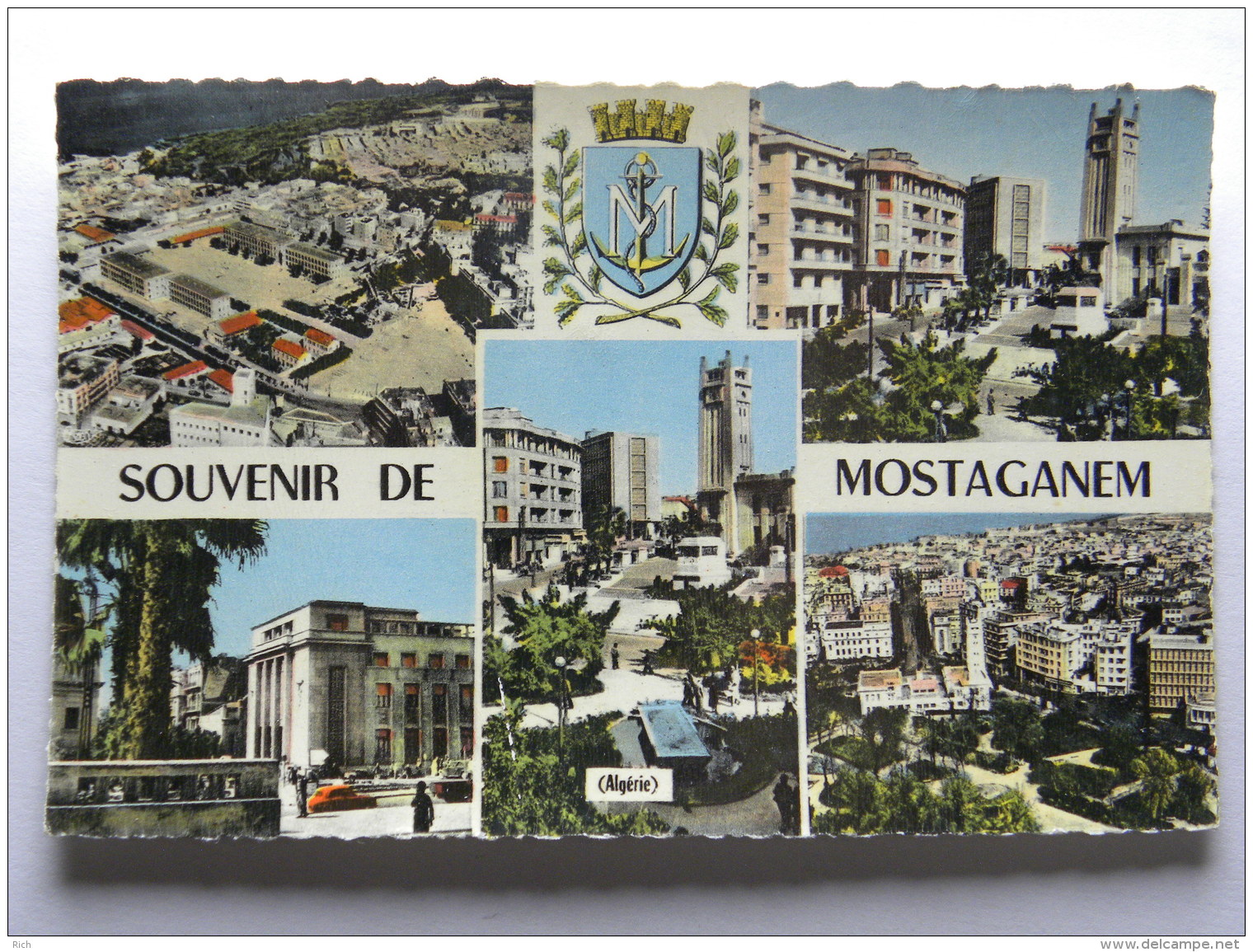 CPSM AFRIQUE - ALGERIE -  Souvenir De Mostaganem - Mostaganem