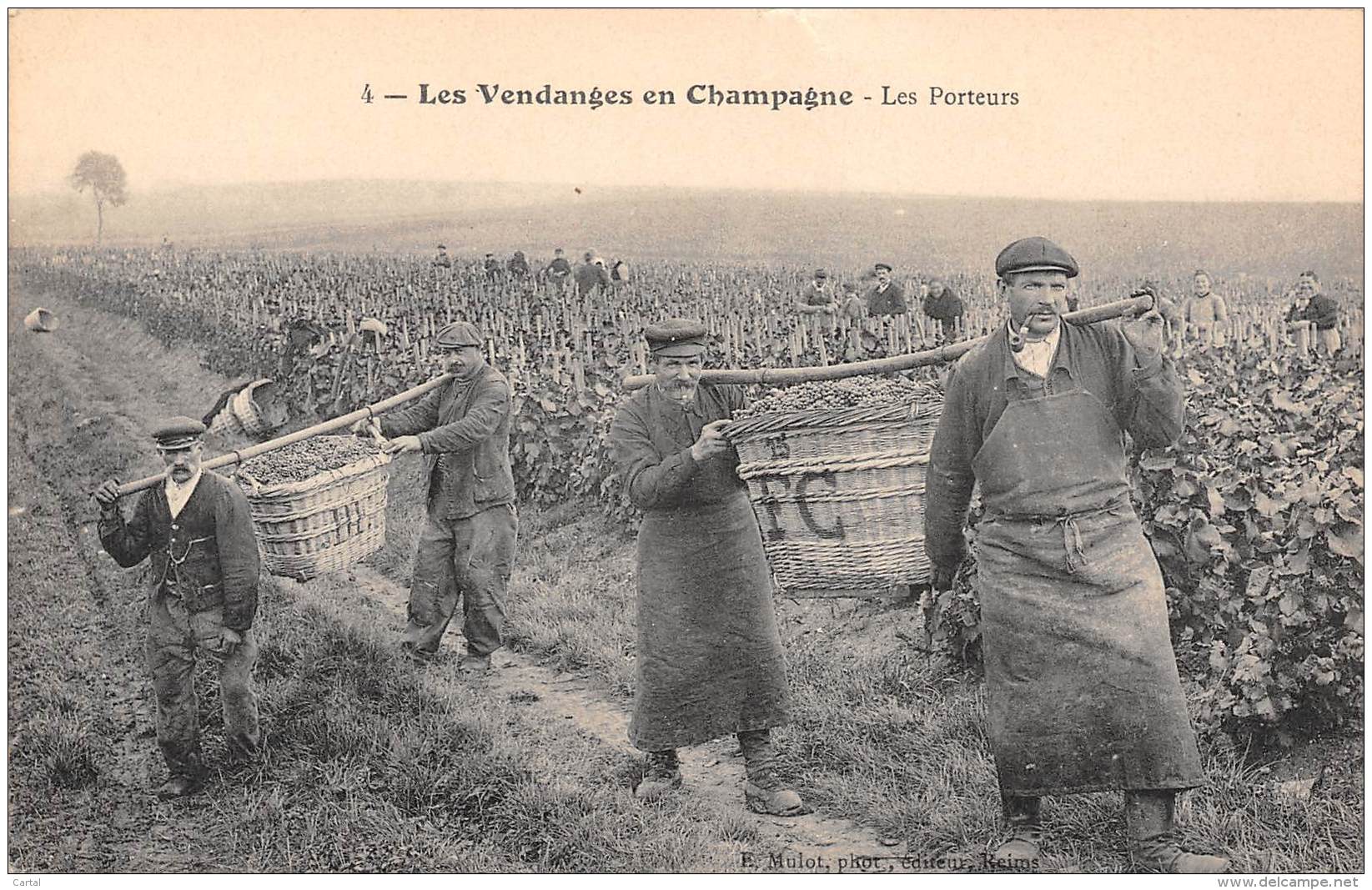 51 - Les Vendanges En Champagne - Les Porteurs - Autres & Non Classés