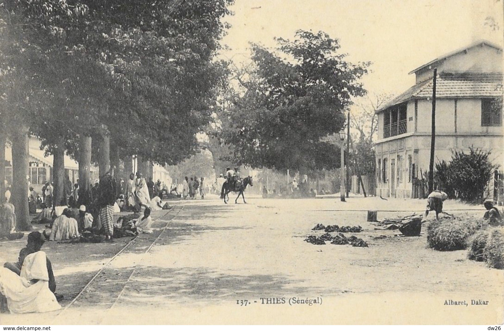 Thies (Sénégal) - Scène De Rue: Marché, Cheval - Edition Albaret, Dakar, Carte Non Circulée - Senegal