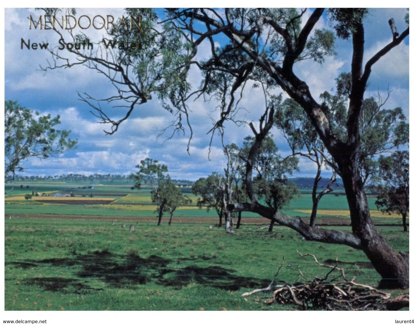 (400) Australia - NSW - Rural Scene - Mandooran - Outback