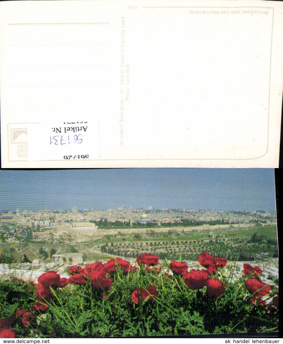 561731,Israel Jerusalem Mohnblumen Klatschmohn - Israel