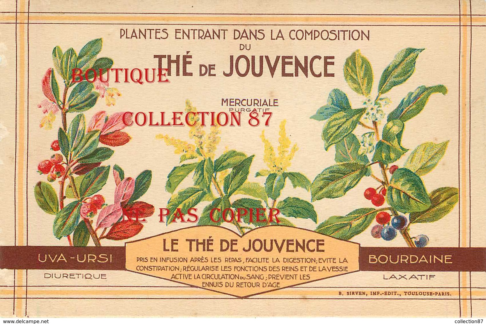 OF ☺♥♥ UVA URSI - MERCURIALE - BOURDAINE < THE De JOUVENCE - PLANTES MEDICINALES - PLANTE INFUSION MEDICINALE - Plantes Médicinales