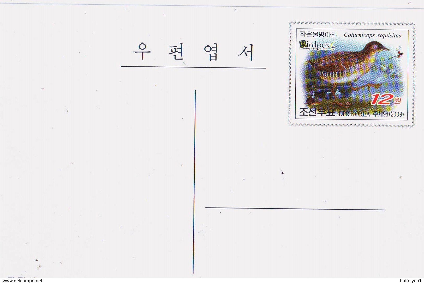 North Korea 2009 Birdpex Coturnicops Exquistitus Postal Pre-stamped Card - Cuckoos & Turacos
