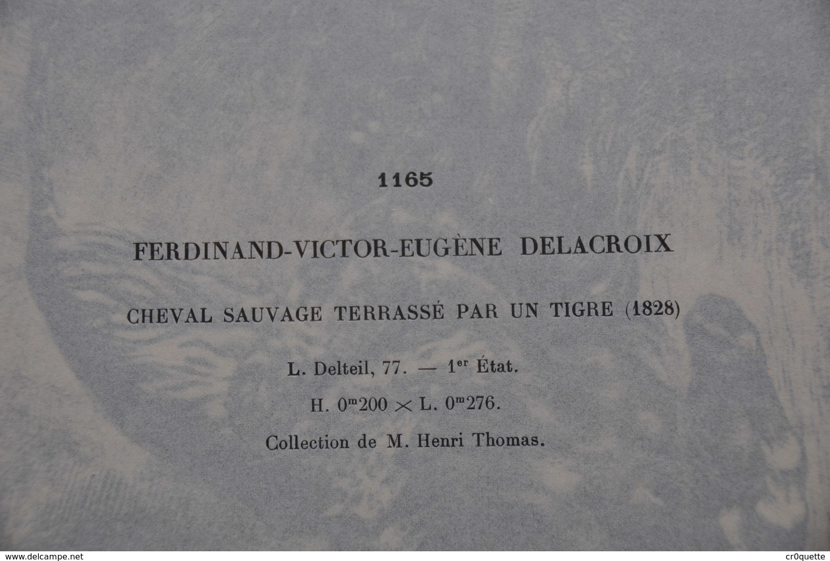 GRAVURE 1165 / CHEVAL SAUVAGE TERRASSE PAR UN TIGRE Par EUGENE DELACROIX Né à CHARENTON ST MAURICE En 1798 - Estampes & Gravures