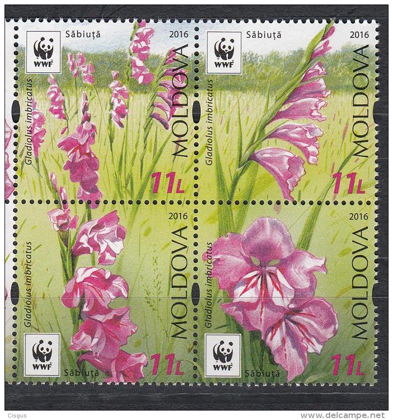 Moldova Moldawien 2016 MNH ** Mi. Nr. 958-961 Zd Moldova WWF Flower Set - Moldawien (Moldau)