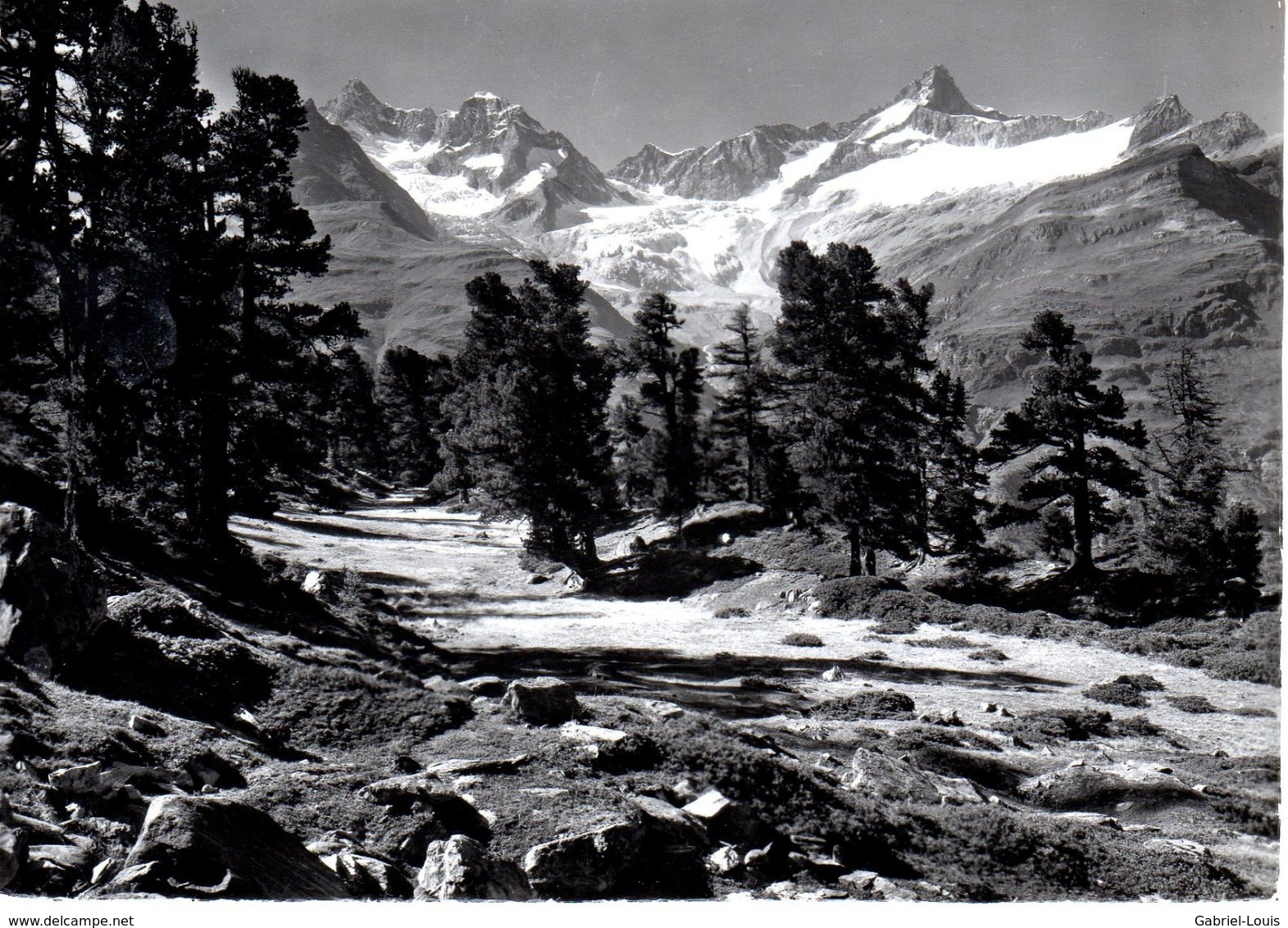 Zermatt Gabelhörner U. Zinal Rothorn (carte Grand Format 10X15 Cm) - Zermatt