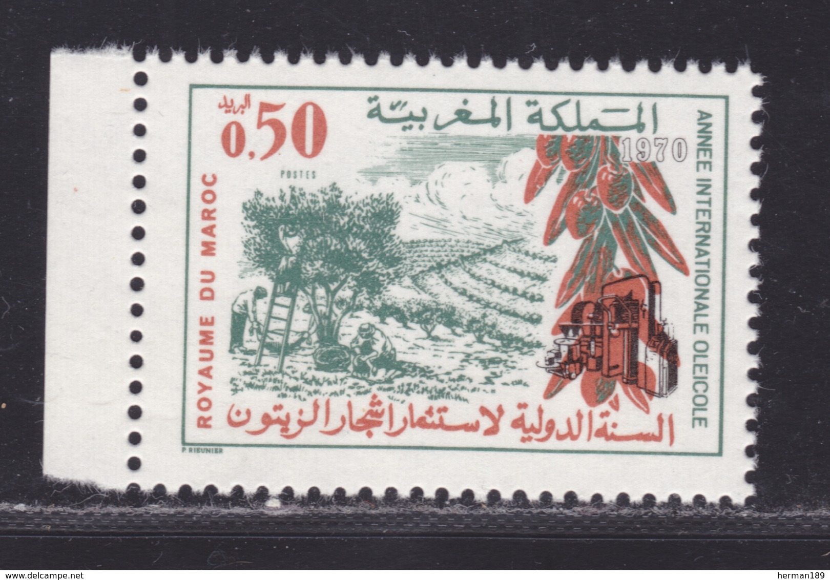 MAROC N°  611 ** MNH Neuf Sans Charnière, TB (D6163) Année Internationale Oléicole - 1970 - Morocco (1956-...)