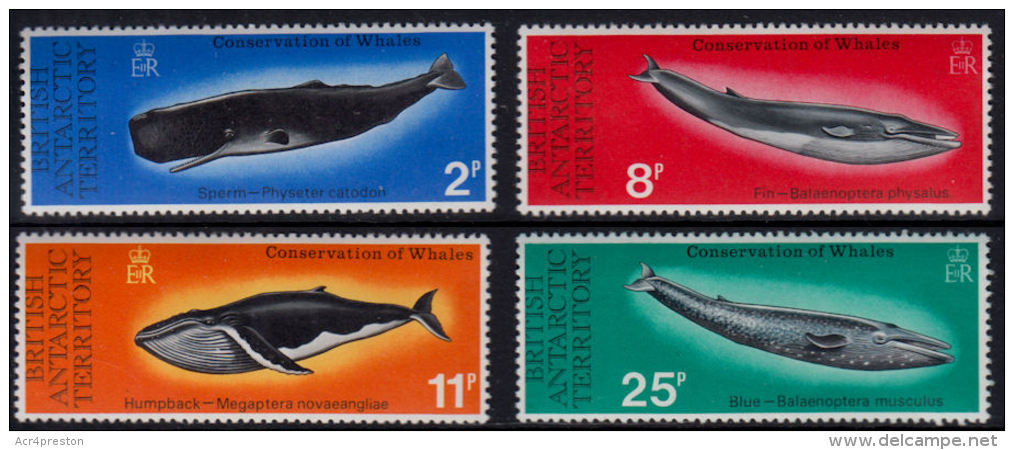 G0063 BRITISH ANTARCTIC TERRITORY 1977,  SG 79-82  Whale Conservation,  MNH - Neufs