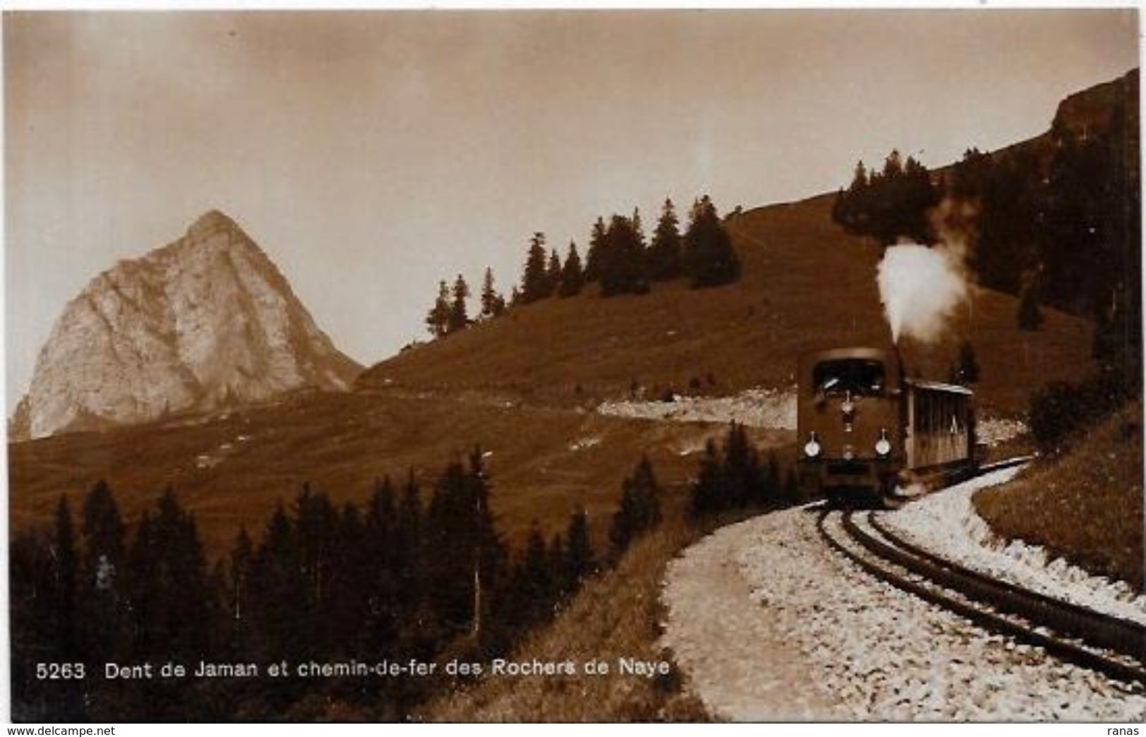 CPA  Suisse Helvétia Schweiz Svizzera Non Circulé Dent De Jaman Rochers De Naye Train Chemin De Fer - Roche