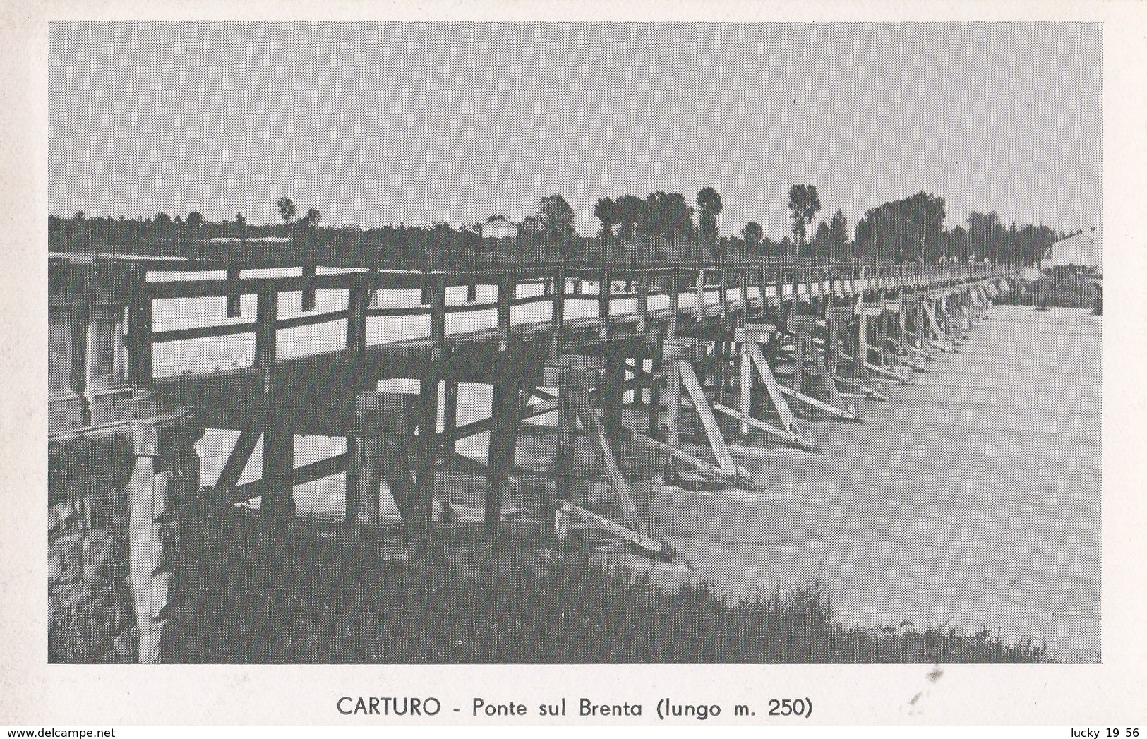 Carturo (Piazzola Sul Brenta) Ponte Sul Brenta, Non Viaggiata, Formato Piccolo - Padova