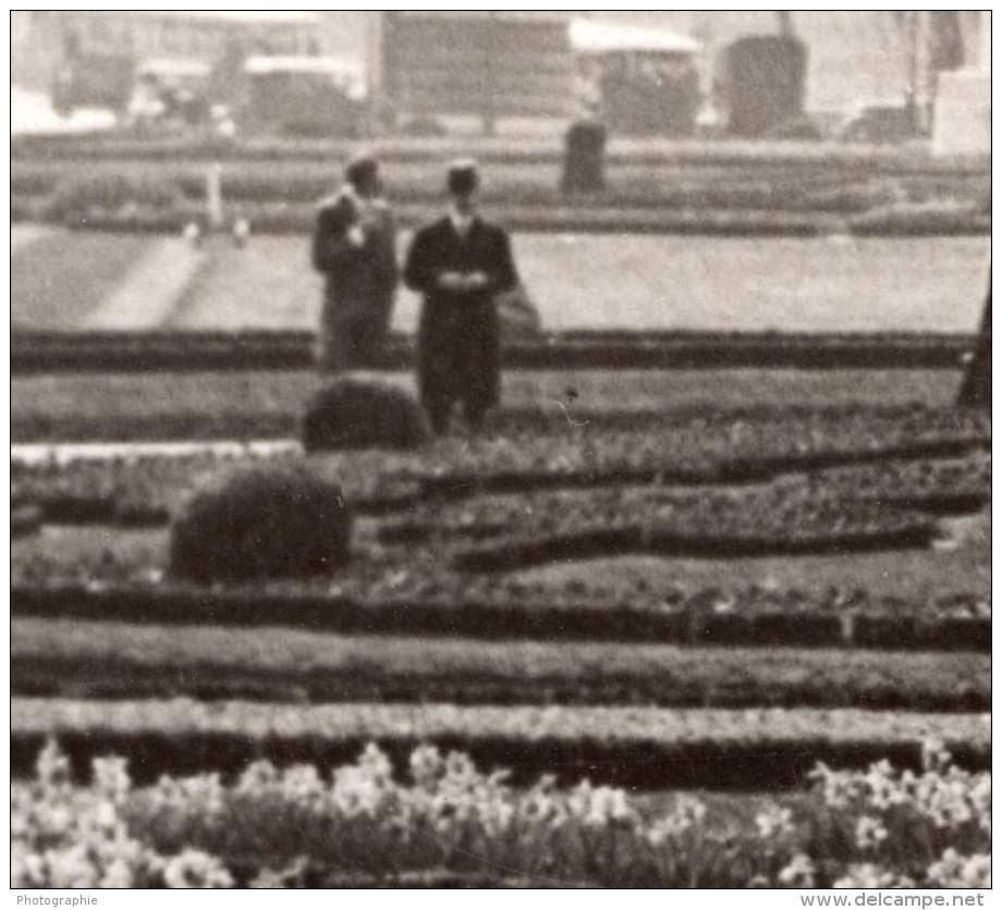 Paris Parterres De Jonquilles Au Palais Des Tuileries Ancienne Photo Meurisse 1930's - Places