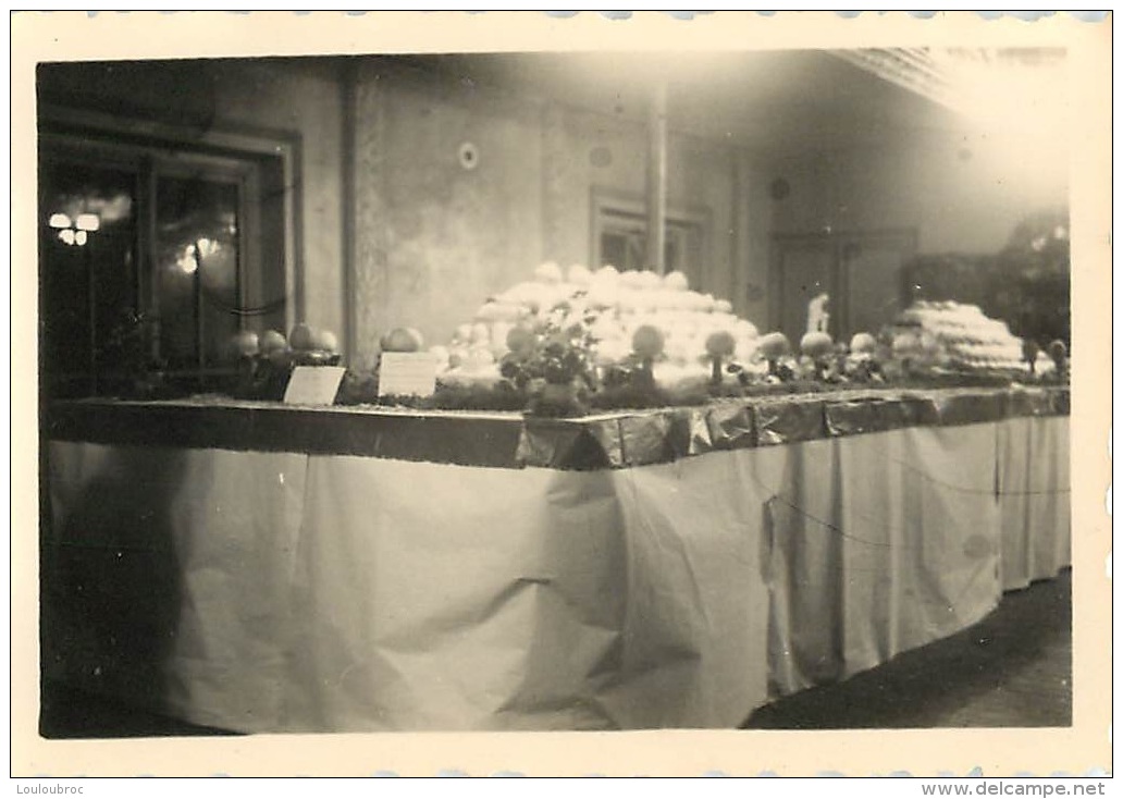 9 PHOTOS DE   COULOMMIERS  EXPOSITION DE FRUITS EN 1949  FORMAT  8 X 6 CM