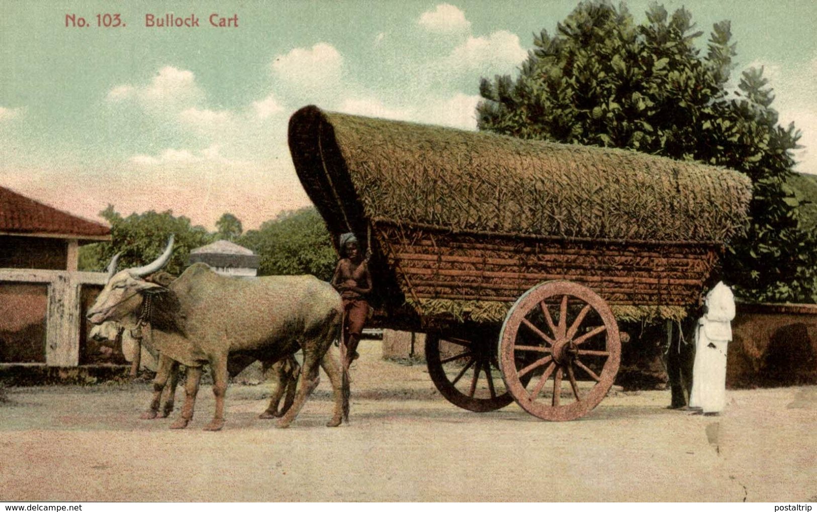 Colombo-bullock Cart -gros Plan- Attelage De Buffle  SRI LANKA . CEYLON CEYLAN - Sri Lanka (Ceilán)