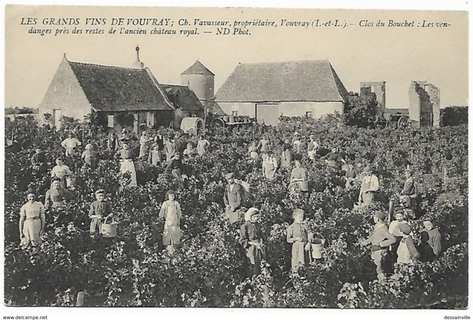 Grands Vins De VOUVRAY - Vendanges Clos Du Bouchet  VAVASSEUR Propriétaire - Vouvray