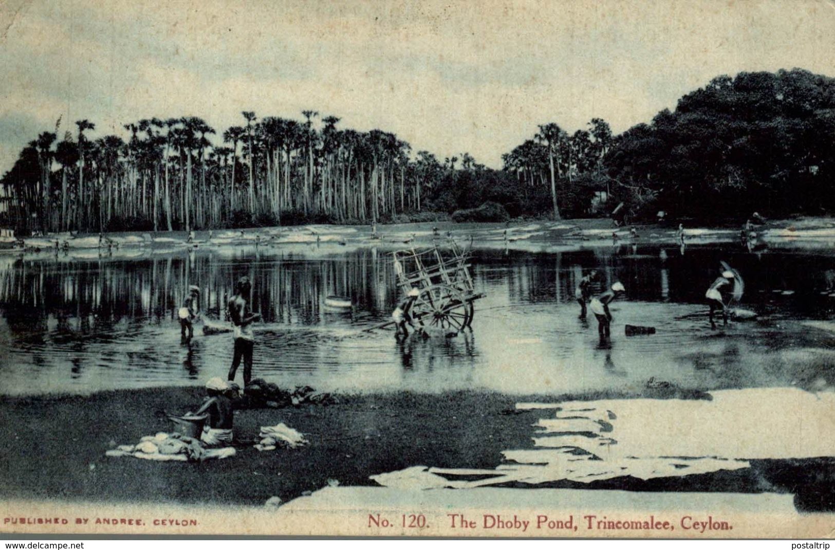 SEE STAMP!! PERFORATED     1904    THE DHOBY POND TRINCOMALEE   SRI LANKA . CEYLON CEYLAN - Sri Lanka (Ceilán)