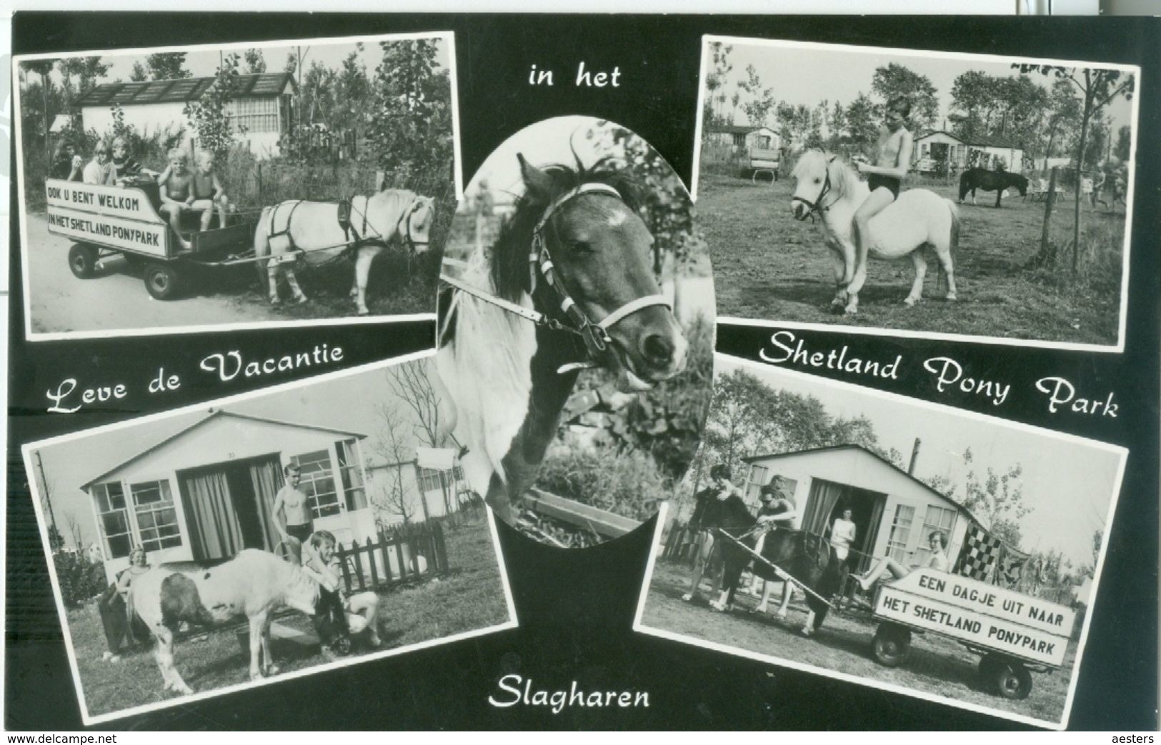 Slagharen 1969; Leve De Vacantie In Het Shetland Pony Park, Vijf-luik - Gelopen. (Eigen Uitgave) - Other & Unclassified