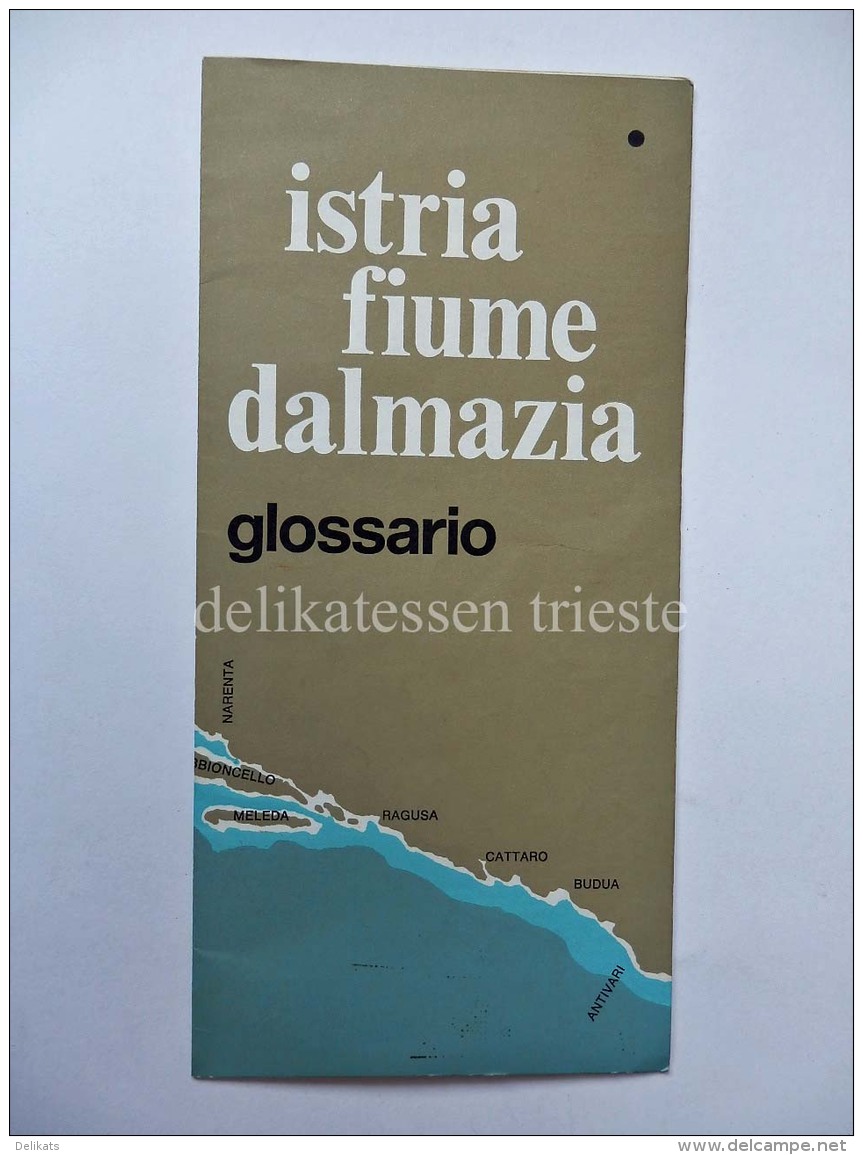 ISTRIA FIUME DALMAZIA Glossario Nomi Italiano Croato Sloveno Irredentismo - Altri & Non Classificati