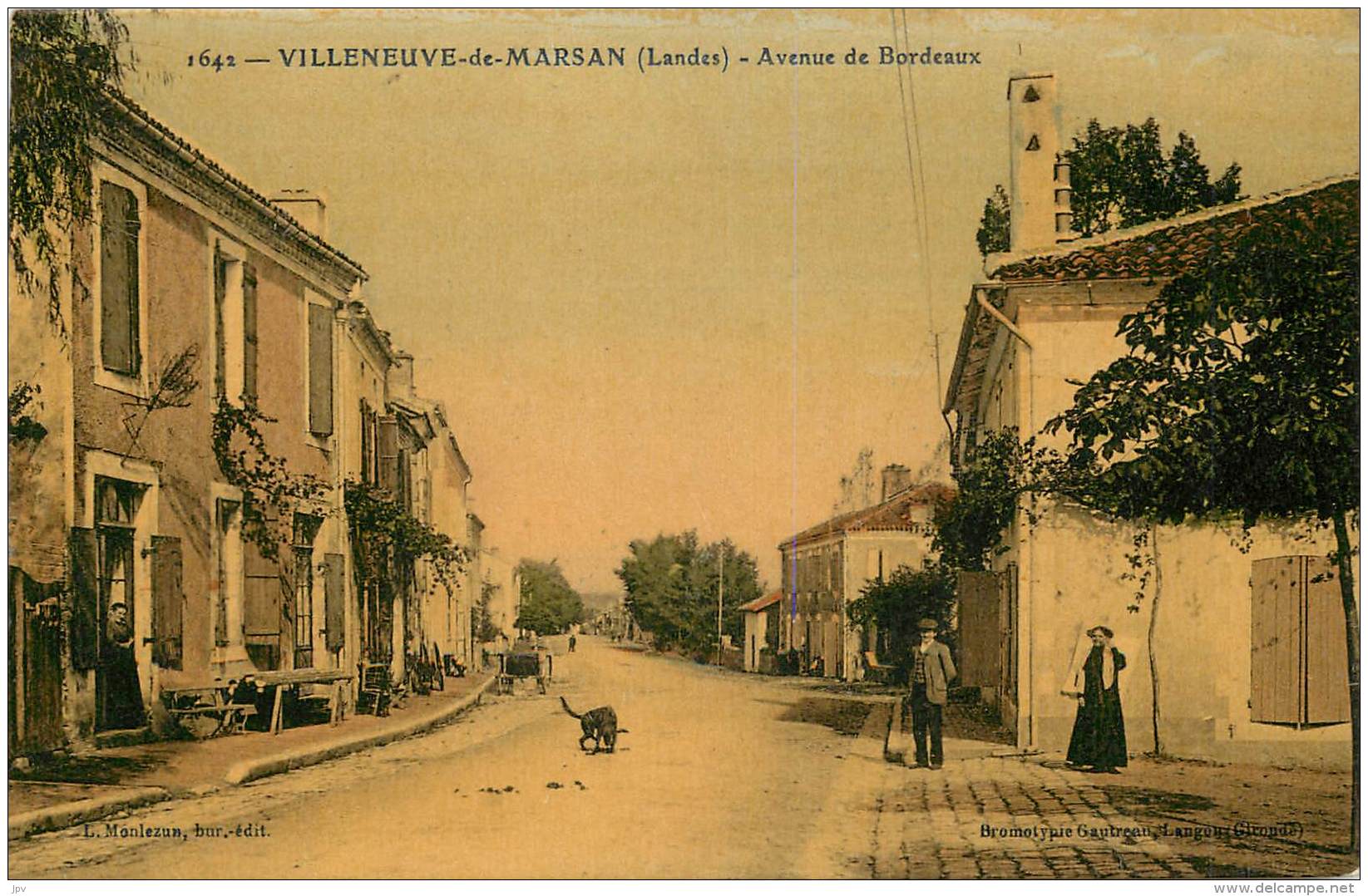 VILLENEUVE DE MARSAN - Avenue De Bordeaux - Villeneuve De Marsan