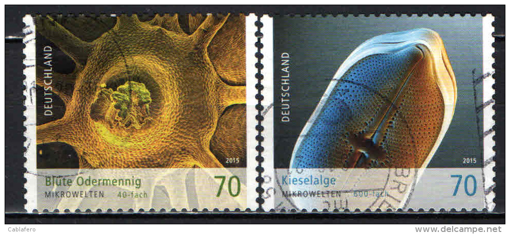 GERMANIA - 2015 - IL MONDO AL MICROSCOPIO - USATI - Used Stamps