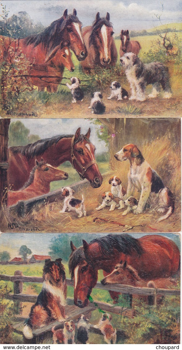 3 Cartes Postales Anciennes De L'illustrateur Raphael Tuck   Chiens Et Chevaux - Tuck, Raphael