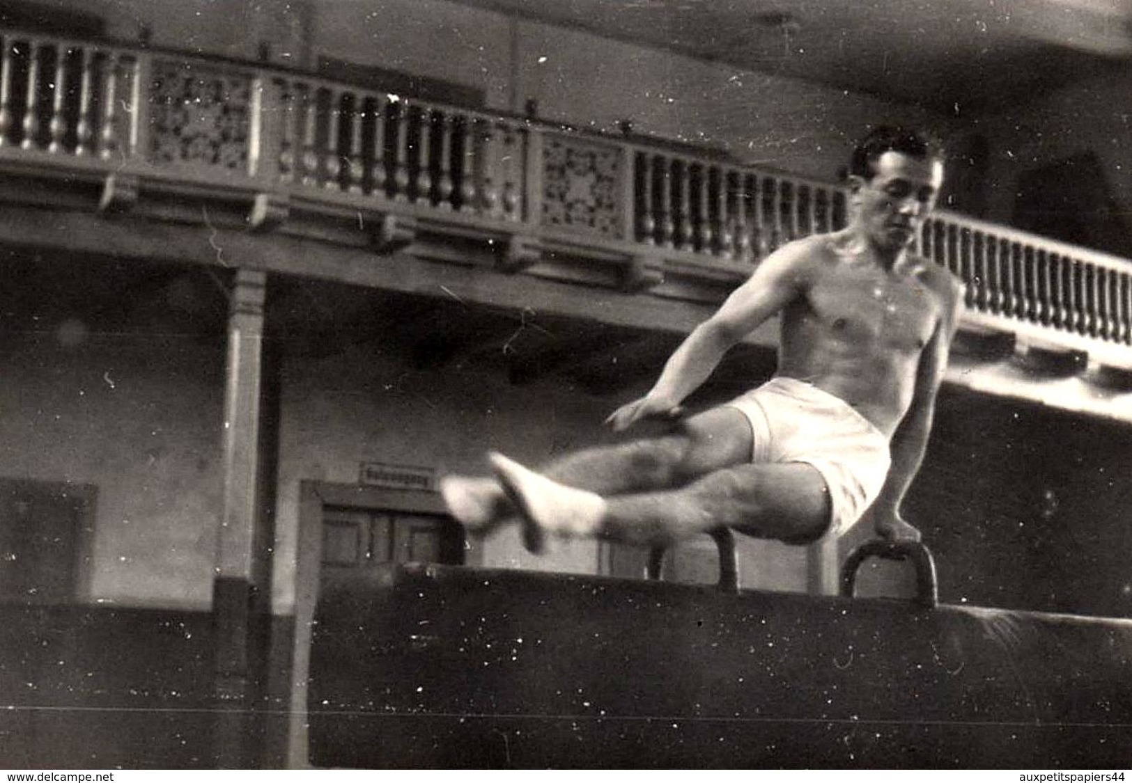Photo Originale Playboy Sexy & Gymnastique Artistique Sur Cheval D'Arçons & Mouvements Circulaires - Gay 1950 - Sports