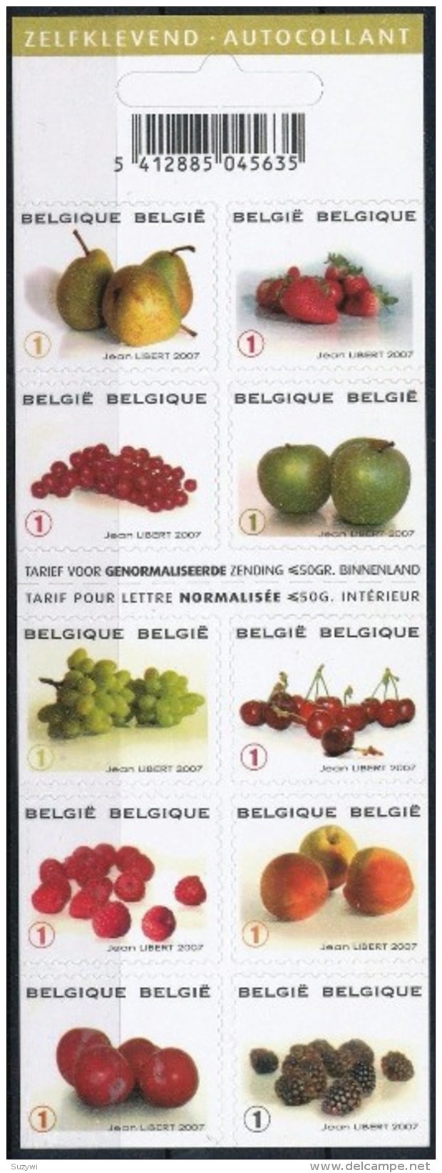 Belgium**FRUIT-Apple-Grapes-Plums-Cherries-Pears-Peaches-Booklet 10stamps-2007-MNH - Ungebraucht
