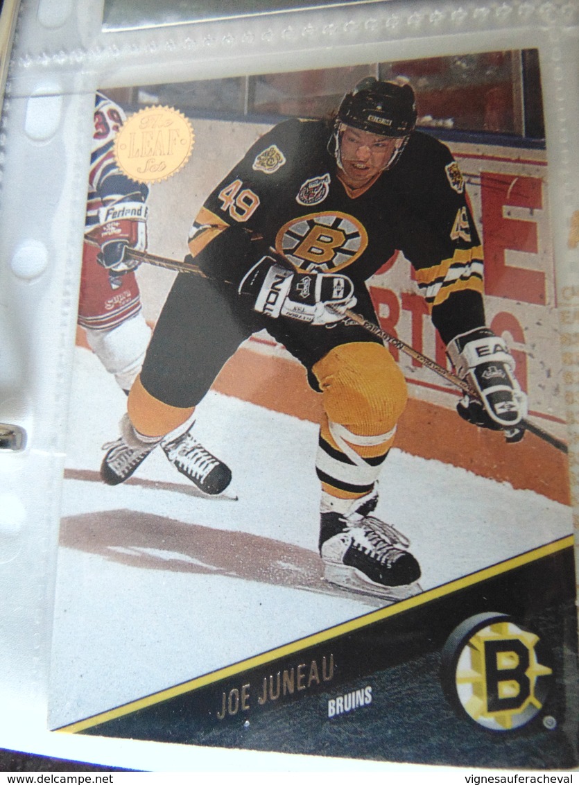 Hockey By Leaf 1993 #218 Joe Juneau - Catálogos