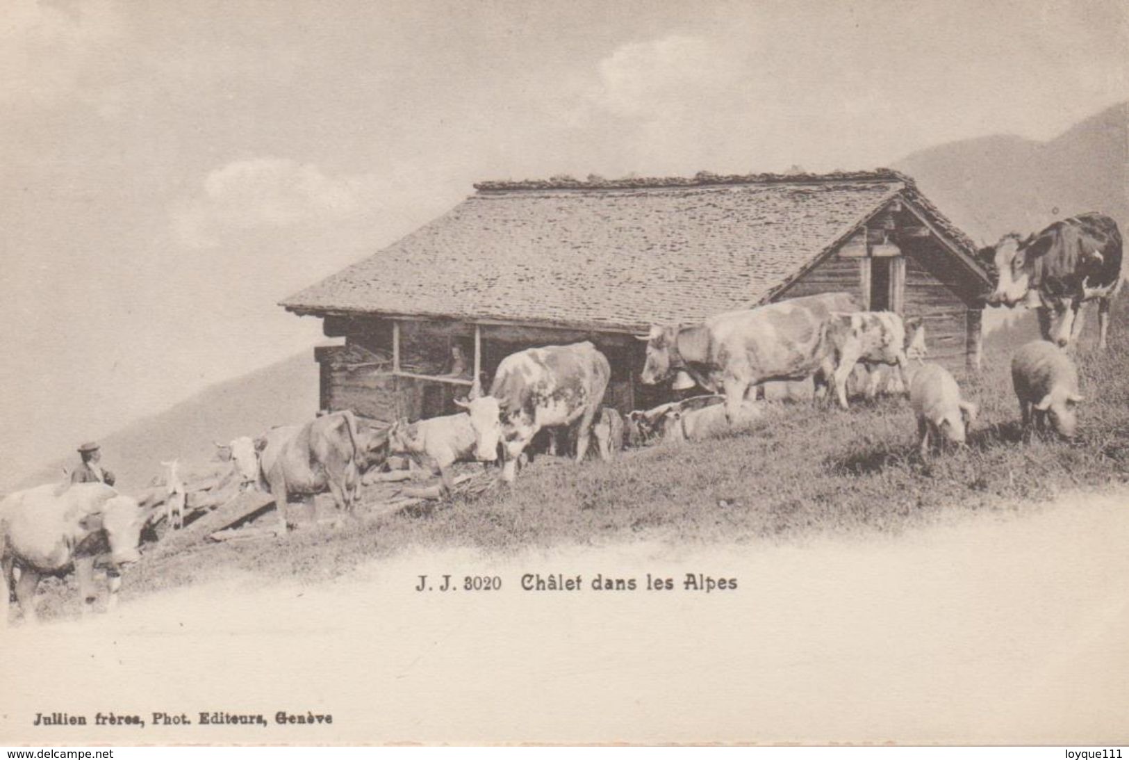 Chalets Dans Les Alpes - Troupeau De Vache, Porcs... Jullien Frères, Editeurs Genève - Genève