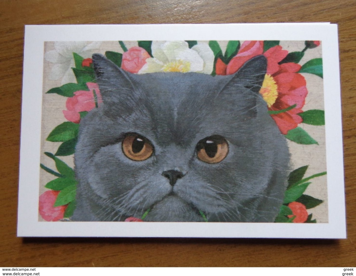 12 Cards With Funny Cats - 12 Leuke Poezenkaarten (onbeschreven, Unwritten, See Pictures) - 5 - 99 Postcards