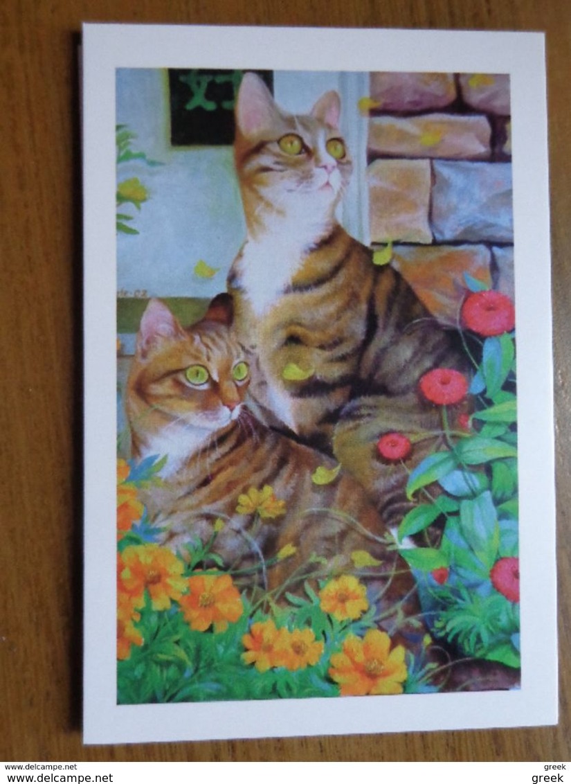 12 cards with Funny Cats - 12 leuke poezenkaarten (onbeschreven, unwritten, see pictures)