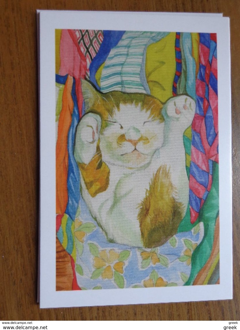 12 cards with Funny Cats - 12 leuke poezenkaarten (onbeschreven, unwritten, see pictures)